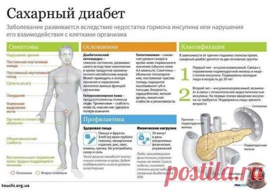 Сахарный диабет - Лечение и профилактика народными средствами.

1. Три белых фасолины замачиваем на ночь в 0.5 стакане холодной кипяченой воды. Утром фасоль съедаем, а воду выпиваем. Это простой, но эффективный рецепт!
2. Берем одну чайную ложечку куркумы на 1 стакан кипяченой воды. Пьем за 1 час до еды или после еды, аналогично используем корицу.
Корицу и куркуму можно чередовать через день, а с утра употреблять фасоль.
3. Взять пять плодов шиповника, измельчить его хорош...