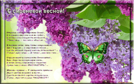 весна сирень