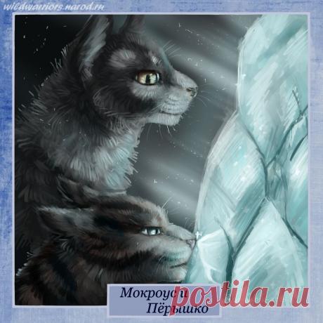 Runningnose and Littlecloud. Warriors by Romashik-arts on DeviantArt