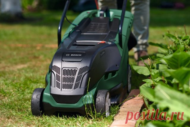 Газонокосилка, кусторез и другие устройства, которые обязательно должны быть у современного садовода — Ботаничка.ru