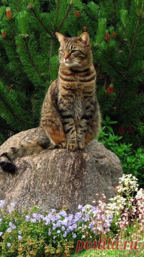i (526×934)
