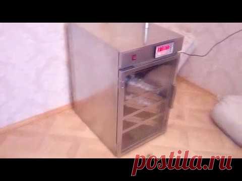 Когда подводит техника. Убытки из за новой покупки!  Сломался инкубатор. Инкубация индюшиных яиц.
