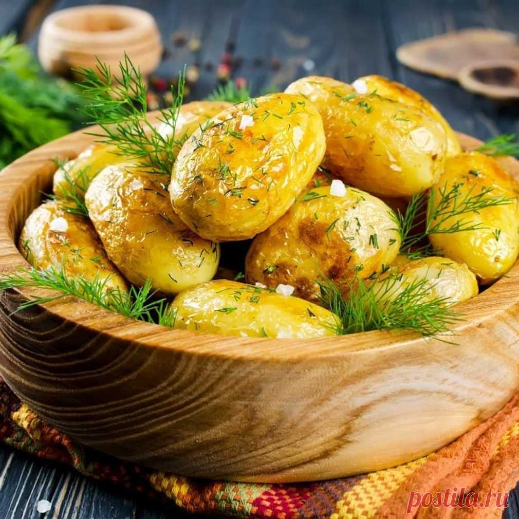 Блюда из молодого картофеля