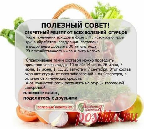 8346d87b3ee7a5371f5ffdd433ce95cc.jpg (720×647)