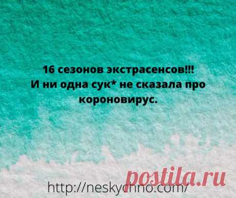 Подборка смешных анекдотов к Новому Году - Сказка для двоих - медиаплатформа МирТесен
