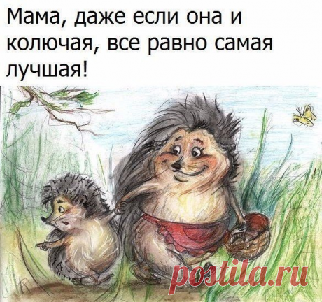 Продолжение ниже... ↓↓↓ ЖМИ