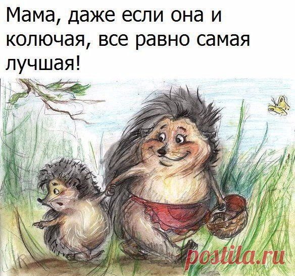 Продолжение ниже... ↓↓↓ ЖМИ