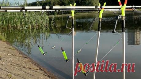 Что делать при отсутствии поклевок | Рыбалка и снасти | Яндекс Дзен