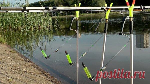 Что делать при отсутствии поклевок | Рыбалка и снасти | Яндекс Дзен