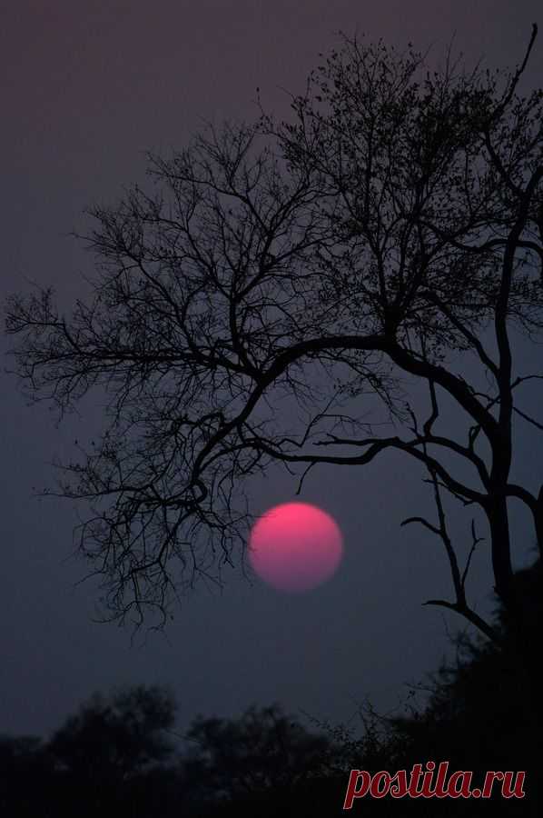Beautiful Nature