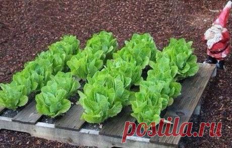 Дневник sanni