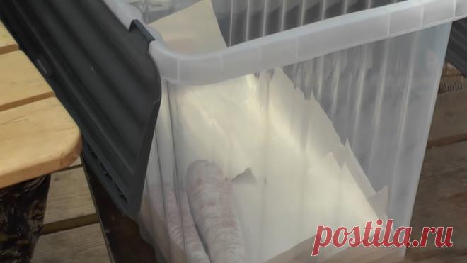 Простой способ сохранить сочную морковь без погреба