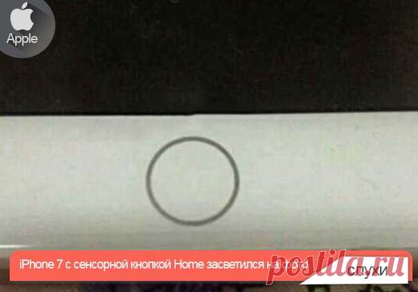 iPhone 7 с сенсорной кнопкой Home засветился на фото Известно, что Apple решила изменить устоявшуюся за последние годы традицию чередовать выпуск существенно обновленных номерных моделей iPhone и незначительно улучшенных «S»-версий. В сентябре состоится дебют iPhone 7, а в 2017 году, если верить СМИ, на рынок выйдет не iPhone 7s, а iPhone 8 с глобальными изменениями форм-фактора, а также различными нововведениями, включая OLED-дисплей и беспроводную зарядку. Такой сценарий, тем не менее, не…