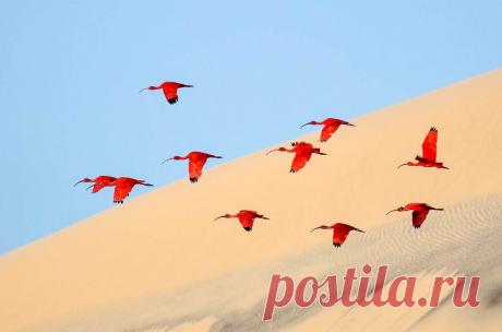 В пути / Фото дня / Моя Планета