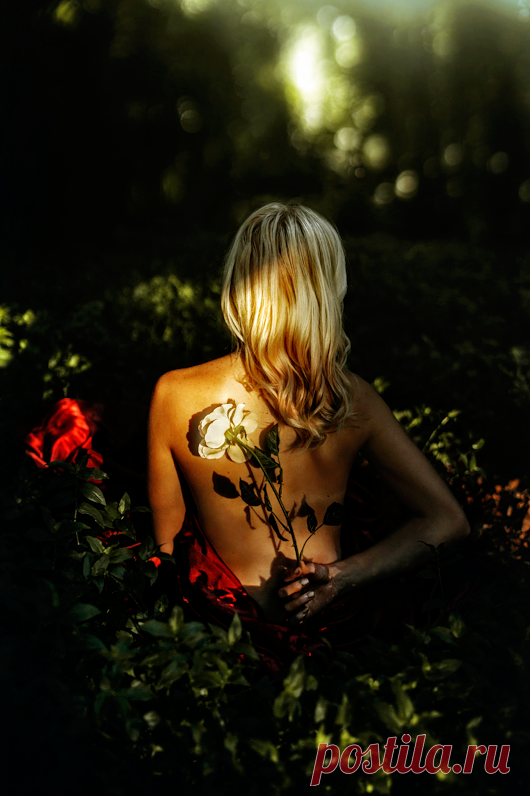 Притчи - Proverbs - Google+