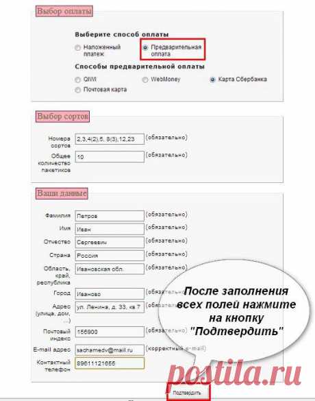 Cемена томатов (помидор) - проверенные семена томата, купить, заказать почтой | Все про помидоры (томаты) - видео, фото, отзовы