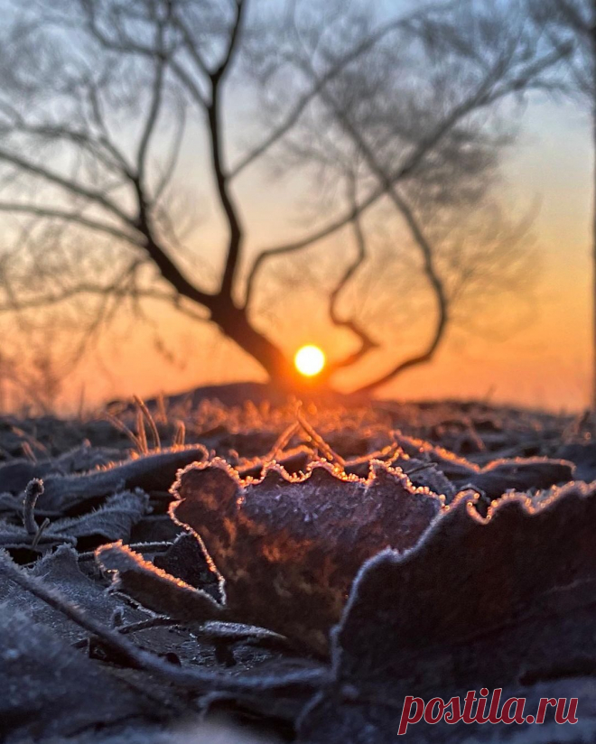 i (1080×1348)