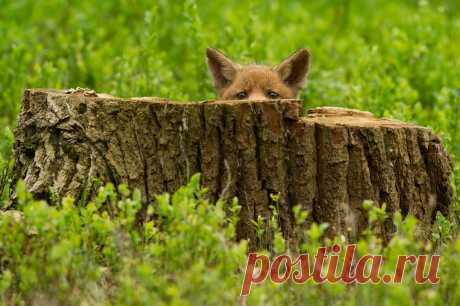 Позитив от фотографа Edwin Kats - Путешествуем вместе