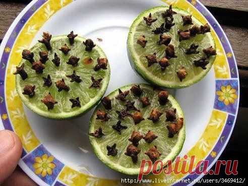 Самое эффективное и натуральное средство от комаров