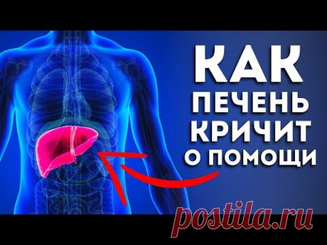 Тревожные Сигналы Того, Что в Печени Полно Токсинов! (И что с этим делать)