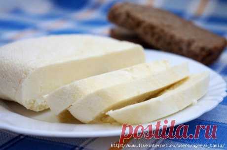 Сыр из кефира в домашних условиях – вкусно, экономно, полезно. Рецепты и советы.