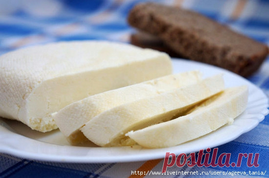 Сыр из кефира в домашних условиях – вкусно, экономно, полезно. Рецепты и советы.