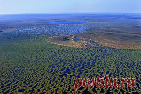 Самое большое болото в мире находится в России - Васюганское болото в междуречье Оби и Иртыша