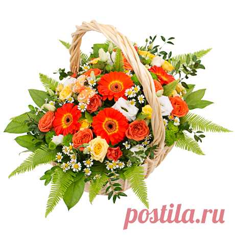 db81ac5910aed86_orig.jpg (460×460)