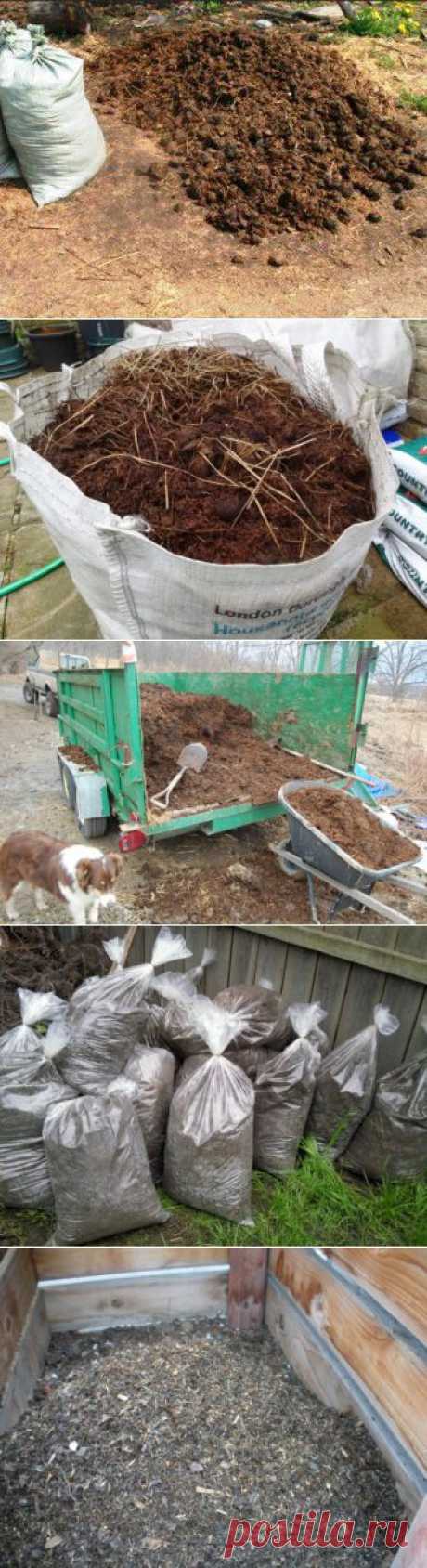 Особенности применения конского навоза | 6 соток