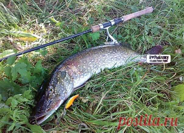 Осень: заметки карьериста / Богатая добыча