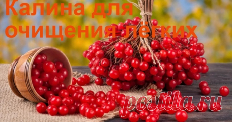 Как очистить лёгкие при помощи лекарственных растений.
Рецепт первый.

Для того чтобы приготовить это домашнее средство необходимо залить в небольшой кастрюле одним литром горячей очищенной или талой воды полный стакан калиновых ягод, после чего нужно протомить получившуюся смесь на медленном огне около десяти – двадцати минут.
Показать полностью…