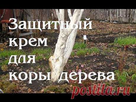 ▶ Защитный крем для коры дерева - YouTube