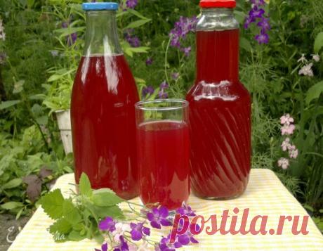 Свекольный квас, пошаговый рецепт на 1028 ккал, фото, ингредиенты - Simona