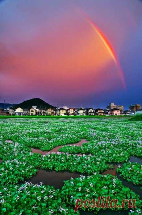 Arun Aron – Google+