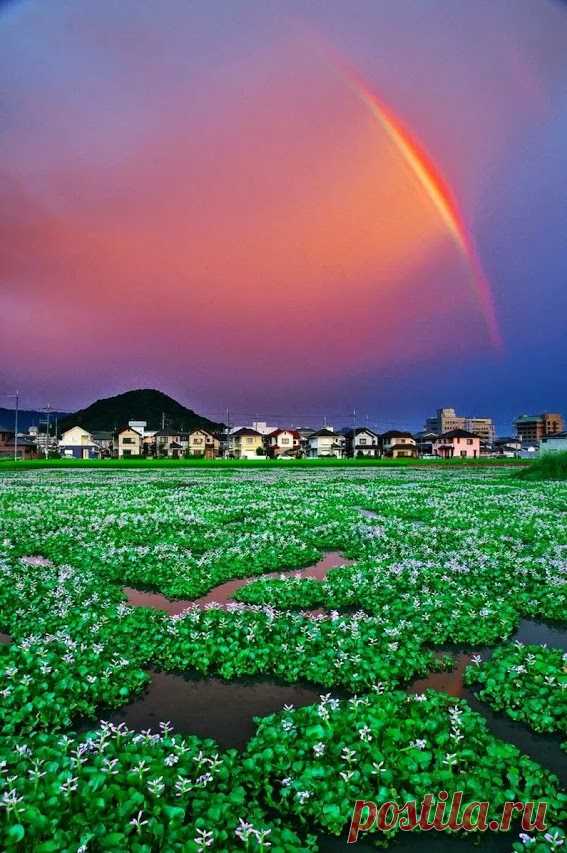 Arun Aron – Google+