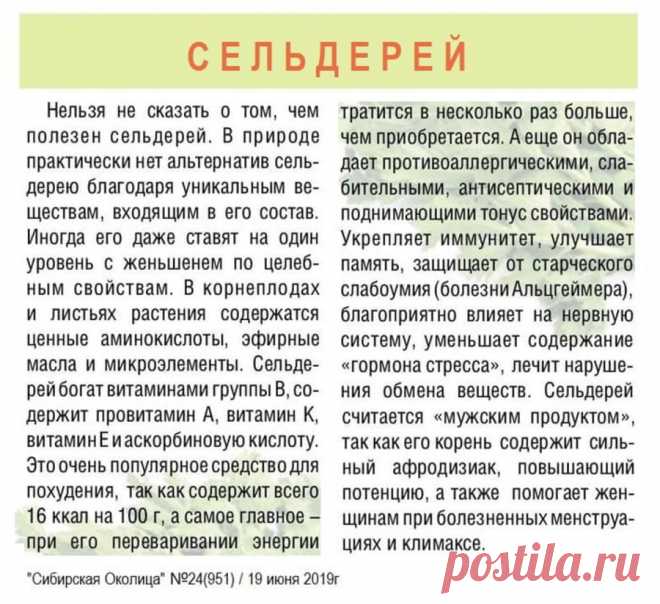 Сельдерей - полезные свойства
