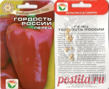 Перец "Гордость России": описание сорта, характеристика, отзывы об урожайности, фото