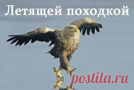 удачный кадр