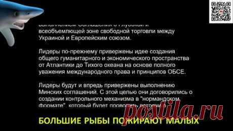🔥 Подпишись на канал Большие рыбы пожирают малых на YouTube 👉  https://www.youtube.com/channel/UCiB5ftz3kUckYVhVxje9hlw/?sub_confirmation=1   ✅…
