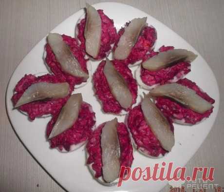 Закуска Селедка с шубкой - Ленивая шуба

Рецепт этой закуски я увидела здесь, на сайте, и так как я любитель всевозможных закусок, решила его приготовить, тем более, продукты все привычные и готовится он быстро. 

Ингредиенты 

свекла маленькая - 1 шт;
лук небольшой - 1 шт;
яйца куриные - 5 шт;
селедка - 0,5 филе;
зелень - по вкусу;
соль - по вкусу;
майонез - 2 ст ложки

Способ приготовления

Для начала нам необходимо отварить и остудить яйца и свеклу, очистить. 
Яйца разр...