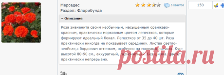 Личный кабинет