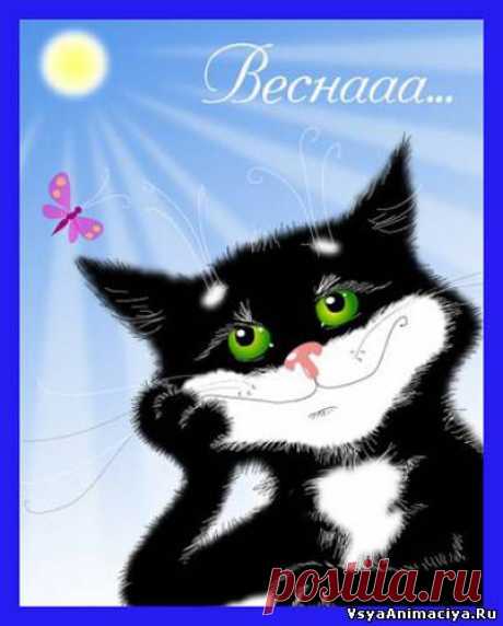 Плейкаст «УРА............... ВЕСНА.»