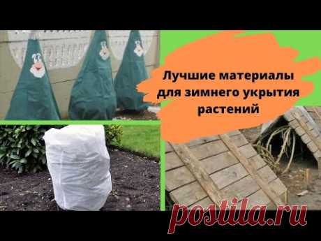 Чем укрыть растения на зиму? Лучшие материалы для зимнего укрытия растений