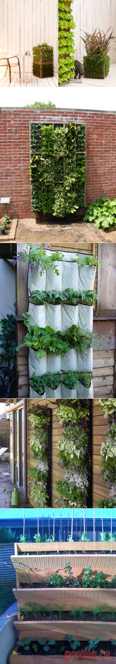 Верин Сад » Вертикальные грядки.Оригинально, красиво, экономично.