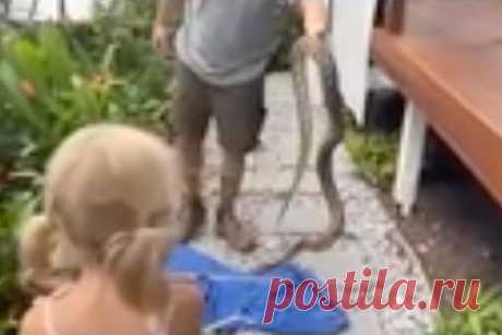 Мужчина голыми руками спас щенка от душившего его питона и попал на видео. Житель Австралии пил пиво во время отпуска и услышал душераздирающий визг. Оказалось, что на соседского щенка напал огромный ромбический питон. Мужчина перепрыгнул через забор и голыми руками разнял животных. В результате щенок отделался легкими порезами. Змея также не пострадала, ее эвакуировал специалист.