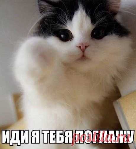 Интересные новости