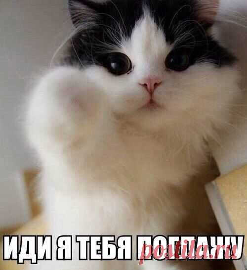 Интересные новости