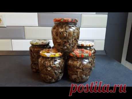 Маринуем опята на зиму.Не уксусные.Слабосоленые.Пальчики оближешь!