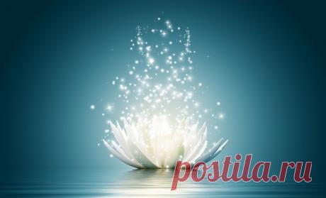 Правила личной дисциплины 1. Держите обещания. Особенно, если речь о телефонном звонке. 2. Не хватает времени? Задерживаетесь? Не держите других в неведении. Дайте знать. 3. Оберегайте чужие мечты, тогда