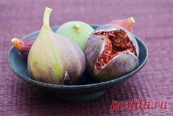 Запись Ирину Степанову Как вкусно поддержать своё здоровьеКаждый вечер перед сном в течение 1,5 месяцев съедайте:1 плод инжира (смоковницы)5 сушеных абрикосов (кураги)1 плод черносливаЭти плоды содержат вещества, которые вызывают восстановление тканей, составляющих межпозвонковые мягкие..